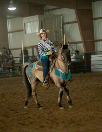 HorseID: 2316734 Dun Got it All - PhotoID: 1103298
