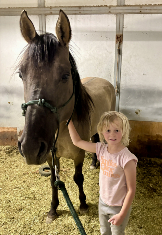 HorseID: 2316734 Dun Got it All - PhotoID: 1103300