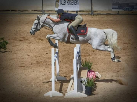 HorseID: 2110556 Rapscallion - PhotoID: 1075551