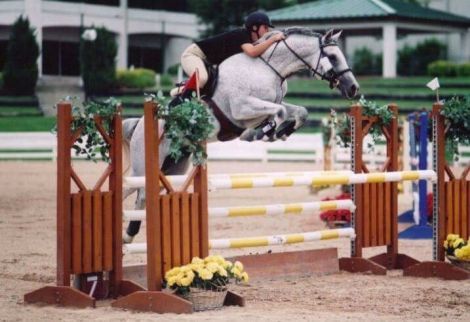 HorseID: 2110556 Rapscallion - PhotoID: 1075552