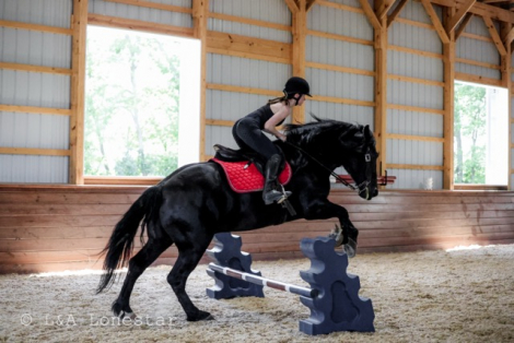 HorseID: 2246616 RR OKIE SPARKLIN ACE - PhotoID: 1048804