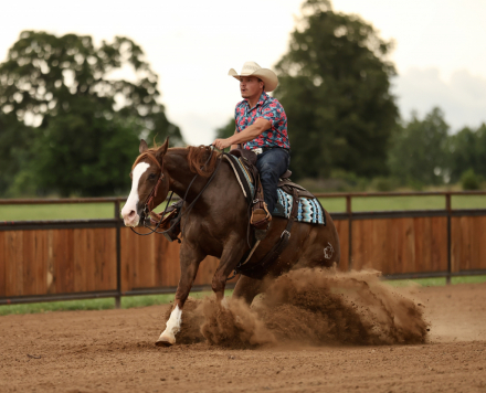 HorseID: 2246739 Venezuela - PhotoID: 1045906