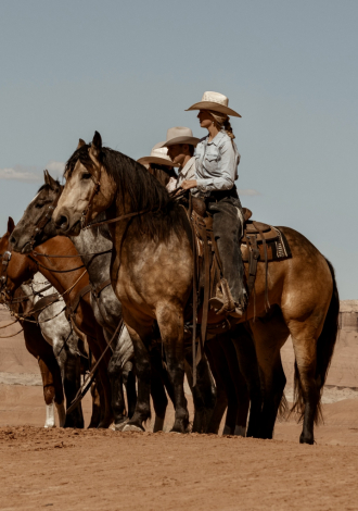 HorseID: 2247454 Dillon - PhotoID: 1089905