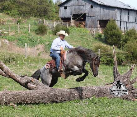 HorseID: 2247455 Frost - PhotoID: 1045892