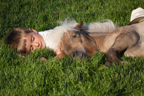 HorseID: 2249906 Bubbles - PhotoID: 1033500