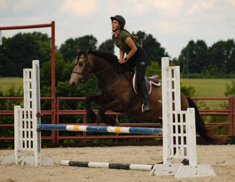HorseID: 2249907 Shot - PhotoID: 1081214
