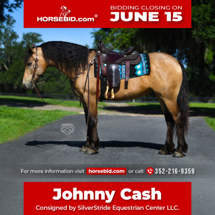 HorseID: 2249911 Johnny Cash - PhotoID: 1045896