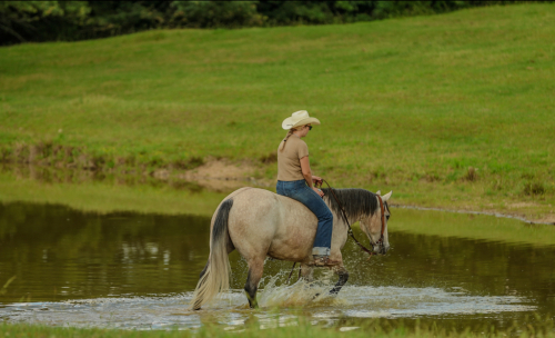 HorseID: 2253895 Modelo - PhotoID: 1045914