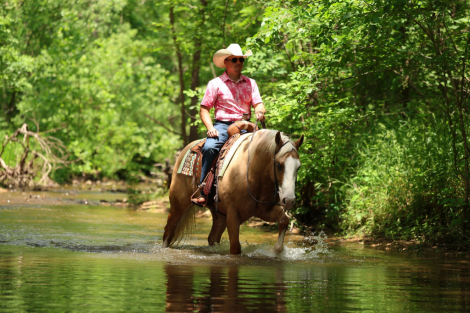 HorseID: 2261706 Bling 182 - PhotoID: 1029648