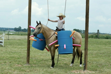HorseID: 2262624 Knutsens Pour Me - PhotoID: 1032129