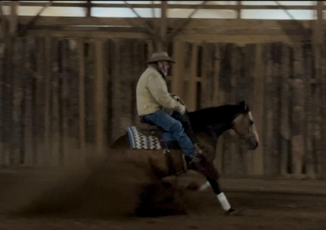 HorseID: 2280897 Concho - PhotoID: 1089900