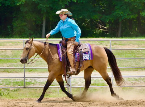 HorseID: 2280897 Concho - PhotoID: 1089901