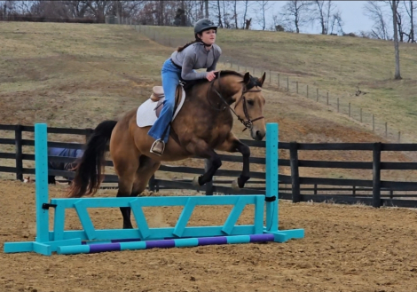 HorseID: 2280897 Concho - PhotoID: 1089902