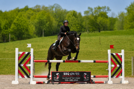 HorseID: 2280903 Quincy - PhotoID: 1055699
