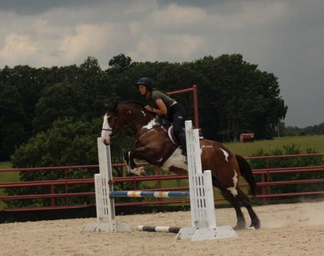 HorseID: 2280904 Sassy - PhotoID: 1055719