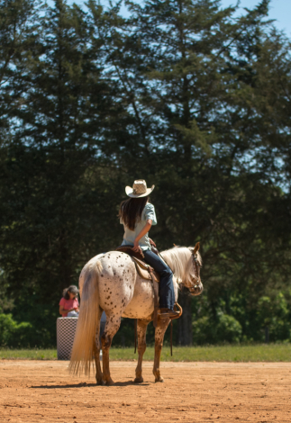 HorseID: 2280905 Mayo - PhotoID: 1055695