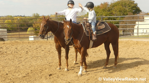 HorseID: 2286307 Any Hughes - PhotoID: 1063086