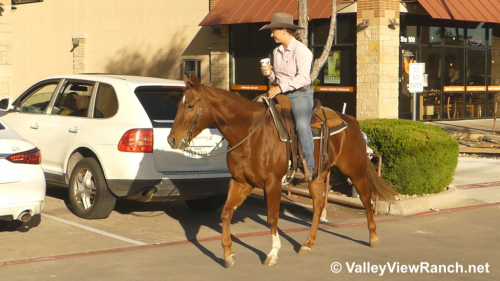 HorseID: 2286307 Any Hughes - PhotoID: 1063088