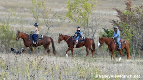 HorseID: 2286307 Any Hughes - PhotoID: 1063089