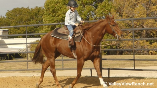 HorseID: 2286307 Any Hughes - PhotoID: 1063090