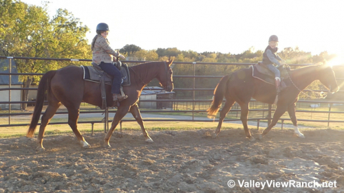 HorseID: 2286307 Any Hughes - PhotoID: 1063091