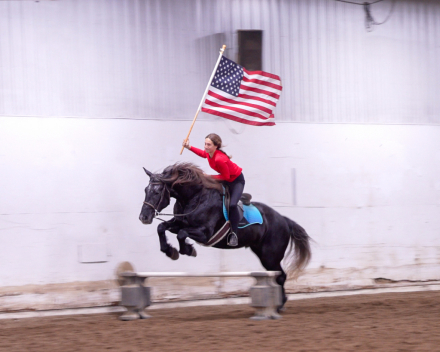 HorseID: 2287439 Rhinestone - PhotoID: 1064621