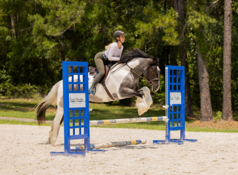 HorseID: 2289408 DeNero - PhotoID: 1076530