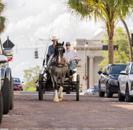 HorseID: 2289408 DeNero - PhotoID: 1076532