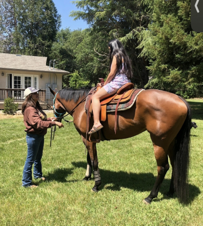 HorseID: 2290529 All Singled Out - PhotoID: 1088913