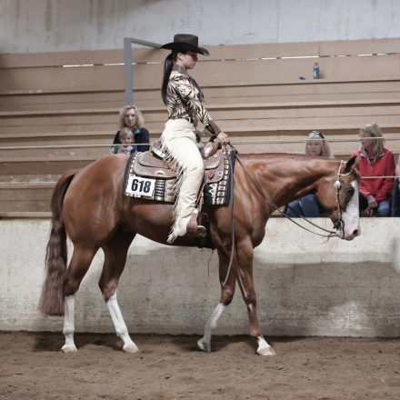 HorseID: 2290584 Hez Big Money - PhotoID: 1077073