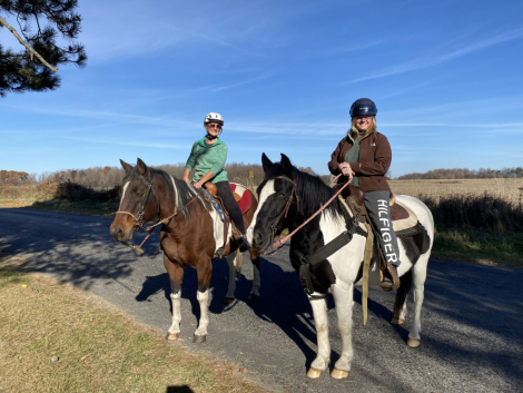 HorseID: 2295547 Hamlet - PhotoID: 1075392