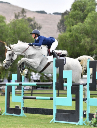 HorseID: 2295910 Thunderhoof's Gemma - PhotoID: 1075922