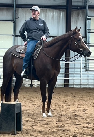 HorseID: 2296034 SD WICKED HOT CHIPS - PhotoID: 1076085