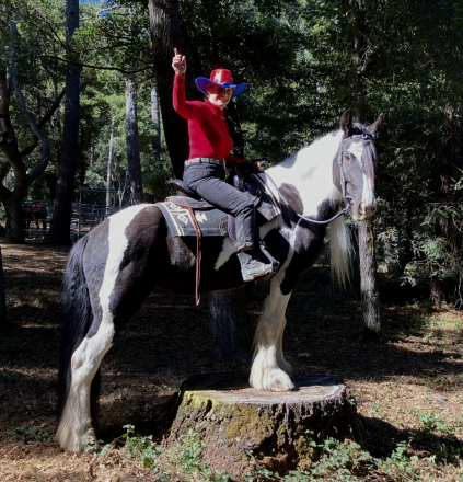 HorseID: 2296150 Kels & Kel Arya - PhotoID: 1077033