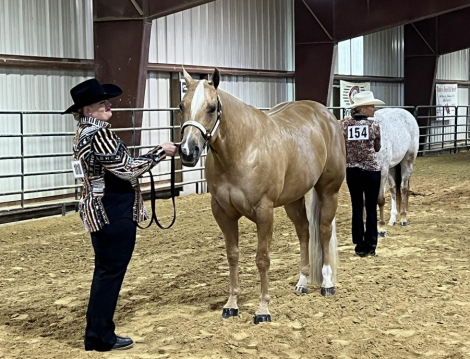 HorseID: 2296177 WHO INVITEDTHEBLONDE - PhotoID: 1076281