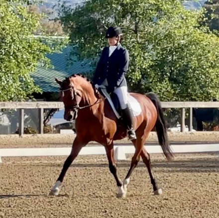 HorseID: 2296205 Marxx - PhotoID: 1076337