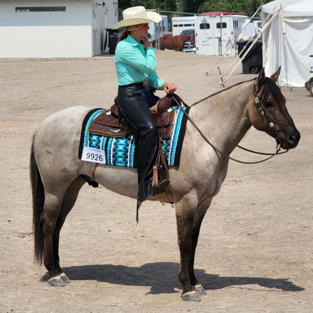 HorseID: 2296207 BODACIOUS BABALOOEY - PhotoID: 1076342