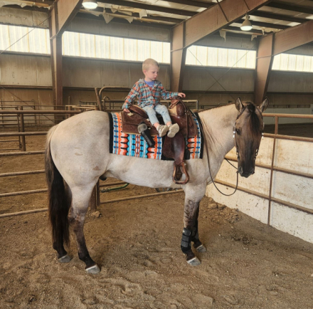 HorseID: 2296207 BODACIOUS BABALOOEY - PhotoID: 1076343