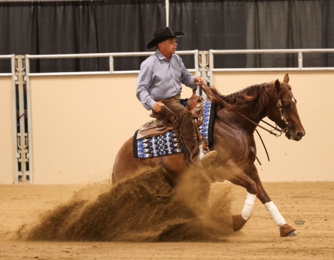 HorseID: 2296272 MY VOODOO STAR - PhotoID: 1076429