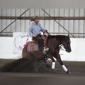 HorseID: 2296272 MY VOODOO STAR - PhotoID: 1076430