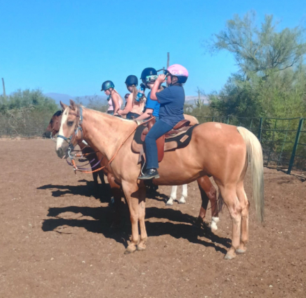 HorseID: 2296338 MPH Smokin Hot Spark - PhotoID: 1076506