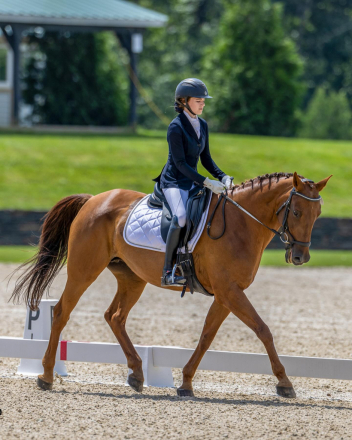 HorseID: 2296373 Tosca Terra - PhotoID: 1076564