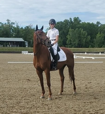 HorseID: 2296373 Tosca Terra - PhotoID: 1076565