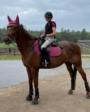 HorseID: 2296373 Tosca Terra - PhotoID: 1076566