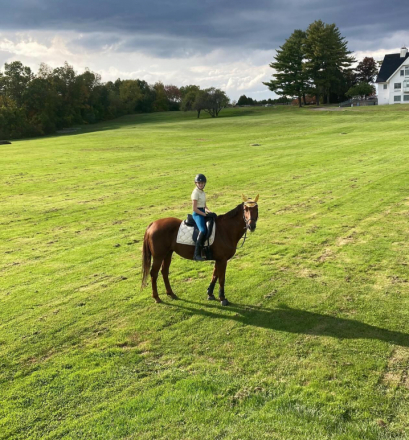 HorseID: 2296373 Tosca Terra - PhotoID: 1076568