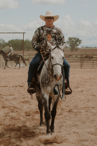 HorseID: 2296404 Stoney - PhotoID: 1076638