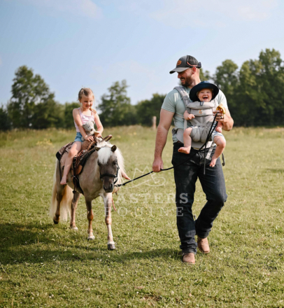 HorseID: 2296571 Stomper - PhotoID: 1076843