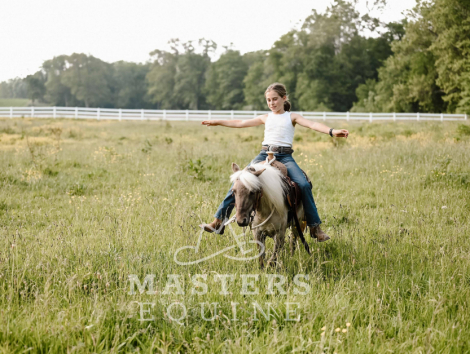 HorseID: 2296571 Stomper - PhotoID: 1076846