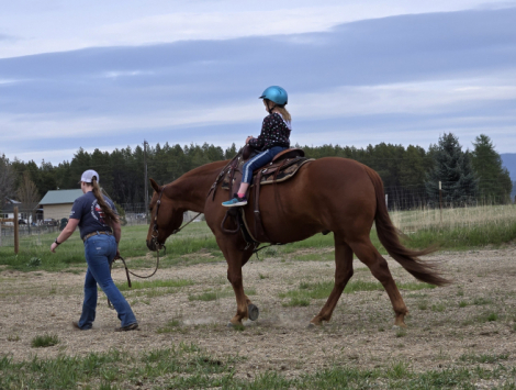HorseID: 2296714 DBL SHOT OF FIREBALL - PhotoID: 1076965