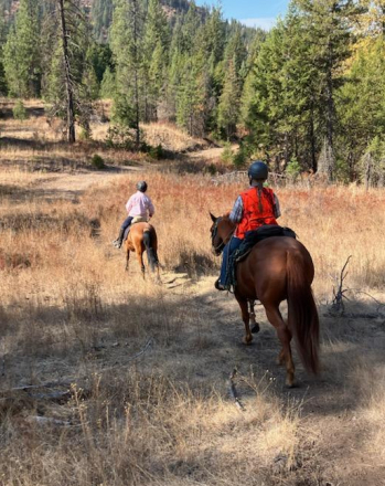 HorseID: 2296714 DBL SHOT OF FIREBALL - PhotoID: 1076966